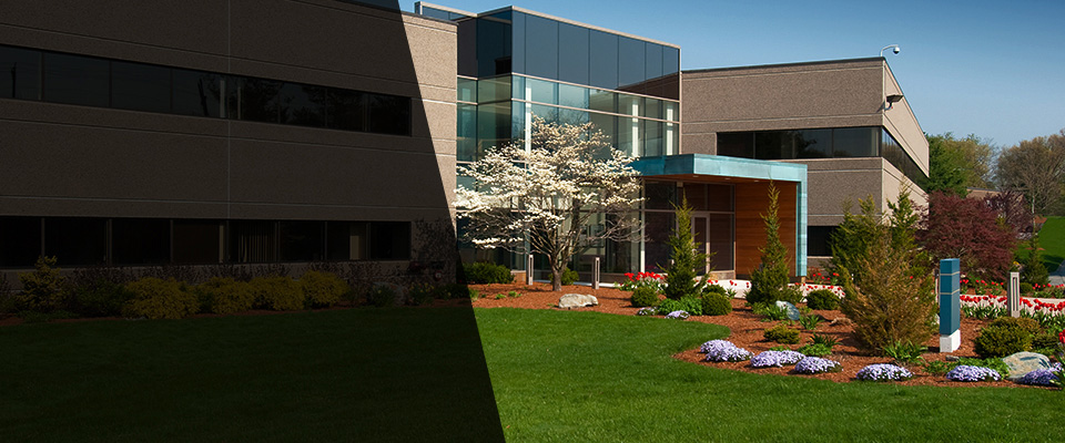 Montegut Landscapers