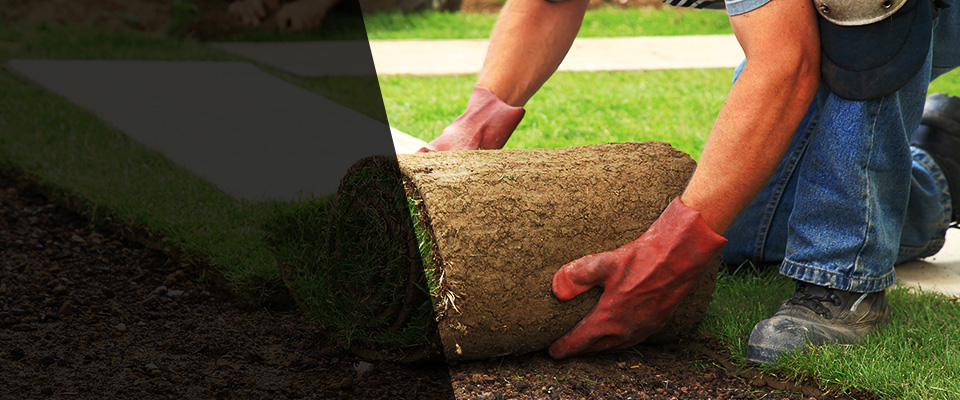Montegut Landscapers